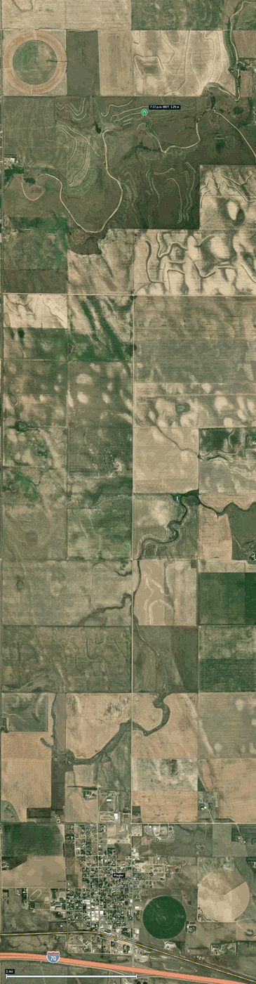 Flagler, CO: 1.25 in hail (half dollar) – 8 Jun 2026